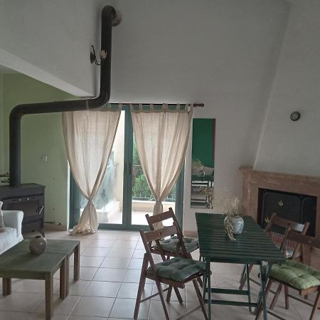 The White Rabbit Guesthouse Eco-Lodge "Cosy Apartment" Ψακούδια Εξωτερικό φωτογραφία