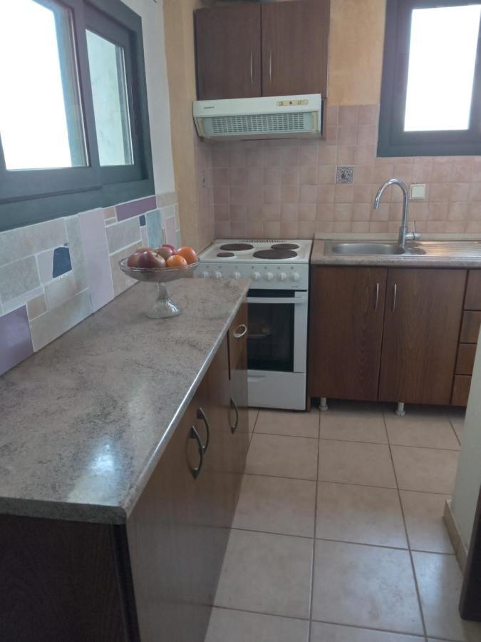 The White Rabbit Guesthouse Eco-Lodge "Cosy Apartment" Ψακούδια Εξωτερικό φωτογραφία