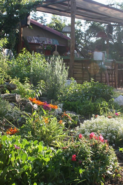 The White Rabbit Guesthouse Eco-Lodge "Cosy Apartment" Ψακούδια Εξωτερικό φωτογραφία