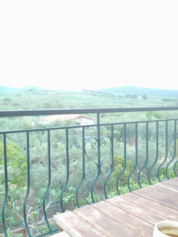 The White Rabbit Guesthouse Eco-Lodge "Cosy Apartment" Ψακούδια Εξωτερικό φωτογραφία