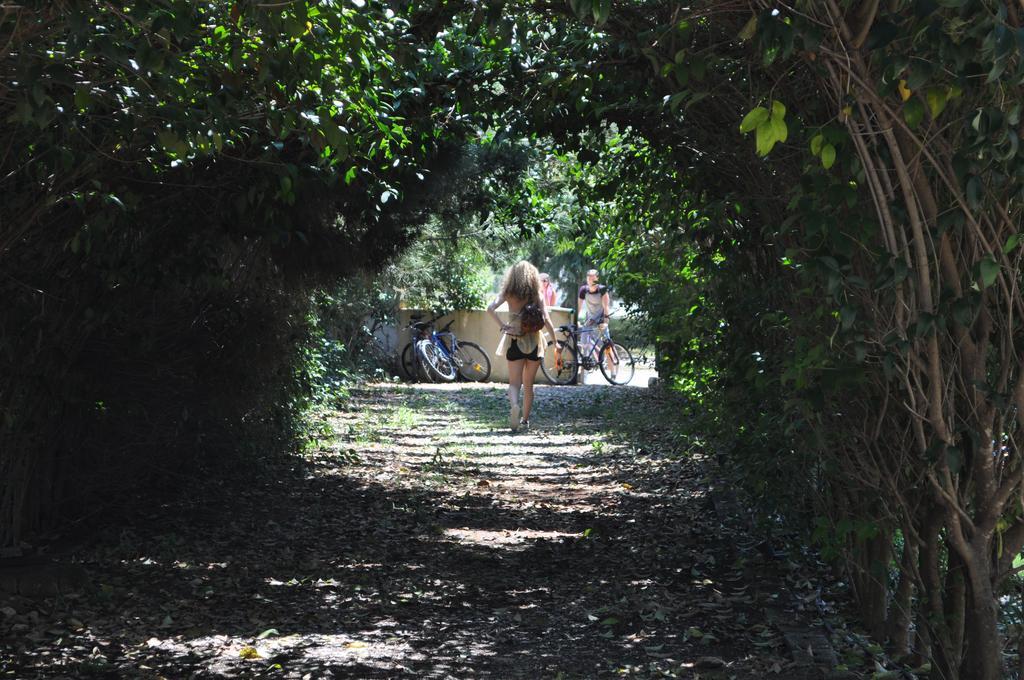 The White Rabbit Guesthouse Eco-Lodge "Cosy Apartment" Ψακούδια Εξωτερικό φωτογραφία